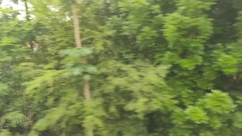 Travel by train sequel 6 Stock Footage 255692787