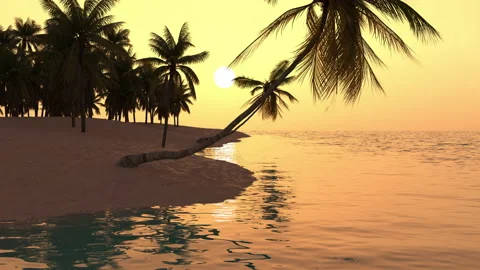 Travel trip to the tropics with palm trees and vacation at sea at sunset. Stock Footage 219890553