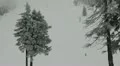 Travel Vacation Tourism Sightseeing Skiers Enjoying the White Winter Season HD Footage