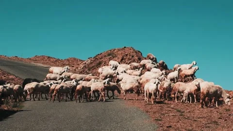 Travel Visuals 스톡 동영상 210550544