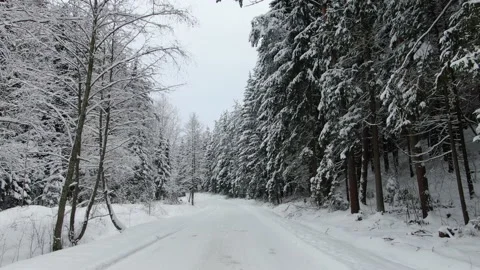 Travel in winter. Video stock 146449849