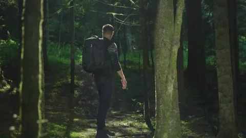 Traveler with a backpack got lost in the forest Stock Footage 247336751