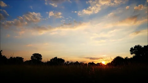 A traveler with backpack at sunset Stock Footage 91879347