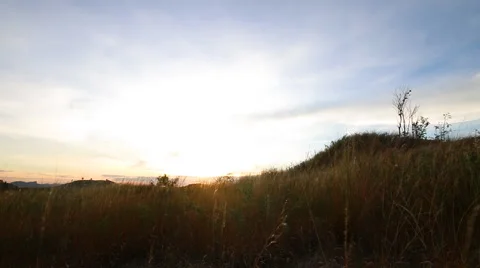 Traveler backpacker standing on the mountain 库存影片 55009612