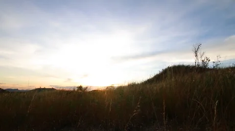 Traveler backpacker standing on the mountain Vidéo 55009988