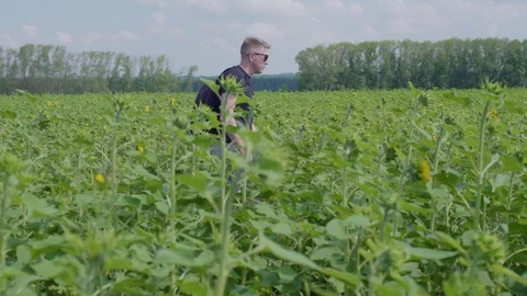 The traveler is on the field Stock Footage 101981335