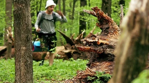 Traveler in the forest Видео 42523771