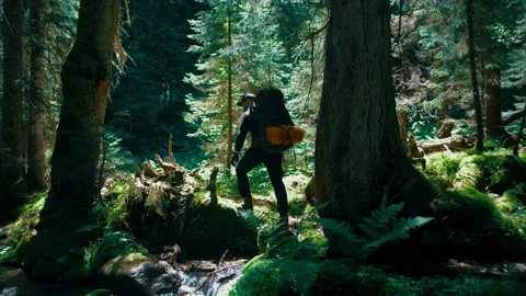 Traveler with a large backpack in a dense forest Stock Footage 138690296