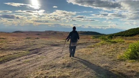 Traveler with a small backpack, camera and trekking poles goes on a hike Video stock 140895256