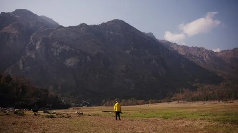 Traveler in yellow jacket standing alone in wide Himalayan valley meadow Stock Footage 343141852