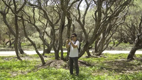Traveler(7) Stock Footage 273586747