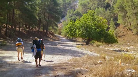 Travelers with backpacks Hiking in the woods 스톡 동영상 59347669