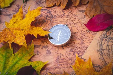 Traveler's compass on map in bright multi-colored autumn leaves. Navigation i Stock Photos