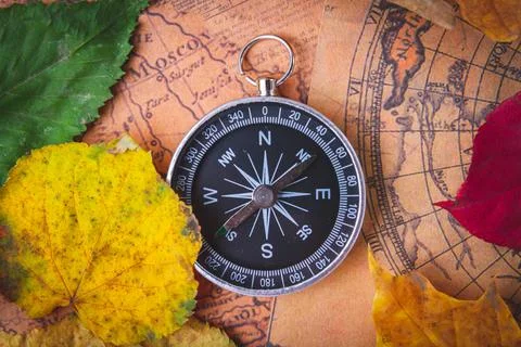 Traveler's compass on map in bright multi-colored autumn leaves. Navigation in Stock Photos