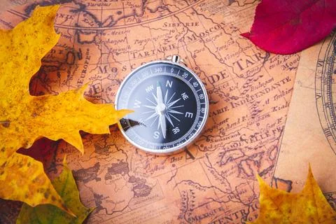 Traveler's compass on map in bright multi-colored autumn leaves. Navigation.. Stock Photos