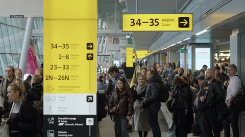 Travelers standing in long queue for boarding next to moving walkway at airport Stock Footage 325031955