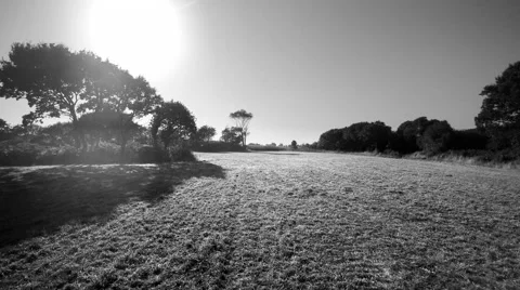 Traveling camera in an empty field bordered by trees. Black and white. Stock Footage 68597221