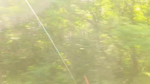 Traveling by car, interior view. Forest and landscape in the window Stock Footage 157904996