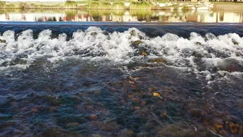 Traveling on the clean waters flowing in a river Stock Footage 169256953