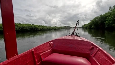 Traveling down the Jequia River Video stock 313140072