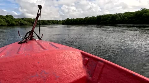 Traveling down the Jequia River Stock Footage 313141004