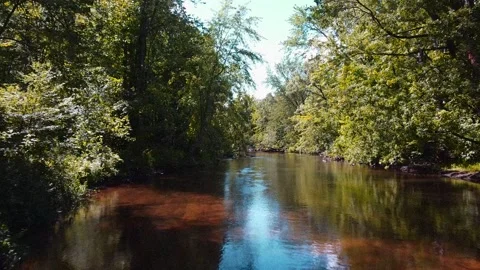Traveling Up the River Stock Footage 202149122