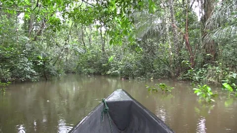 Canoe On River Stock Footage ~ Royalty Free Stock Videos | Pond5