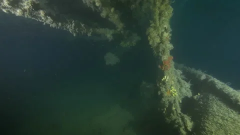 Traveling shot inside the rusty skeleton of the hull of the wreck Adernò and sub Stock Footage 228228017