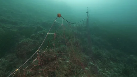 Traveling shot on stranded net abandoned by fishermen, Giannutri Island, Italy Stock Footage 108234714