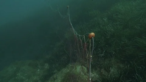 Traveling shot on stranded net abandoned by fishermen, Giannutri, Italy Stock Footage 108243587