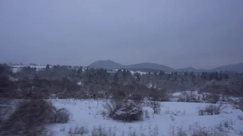 Traveling by train snowy fields and woods Stock Footage 101968509