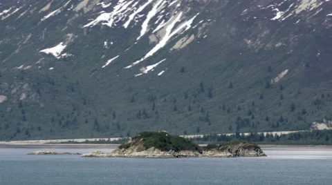 Traveling view of the mountain side at the Inside Passage from a cruise ship. Stock Footage 52215472