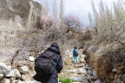 Traveller with backpack walking up the mountain in spring forest Stock Photos