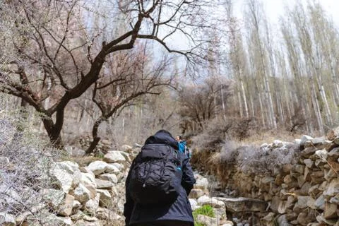 Traveller with backpack walking up the mountain in spring forest Stock Photos