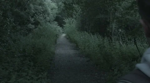 Traveller Down Path Close Up 2 Stock-Footage 65414399