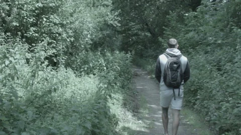Traveller Down Path Stock-Footage 65415173