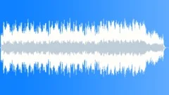 Travellin' Man (Cue3)(guit+harp) Stock Music