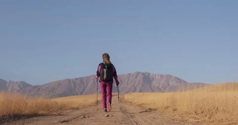 Travelling alone concept. Back view of a woman walking on a field road Stock Footage 234426852