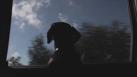 Travelling by car 스톡 동영상 70089694