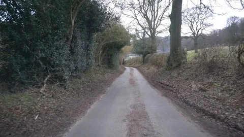 Travelling down a British B-road lined with green trees, UK, 4k, UHD Stock Footage 86472025