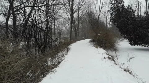 Travelling Down A Snowy Forest Path in Winter Video stock 141105075
