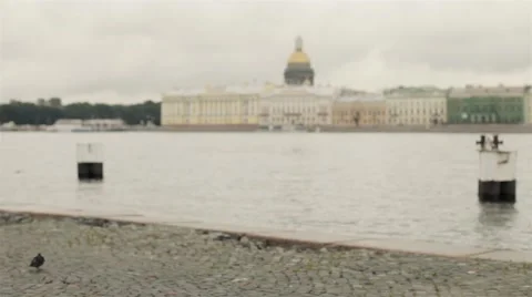 Travelling Man With Map Walking Along the Waterfront of St. Petersburg and 스톡 동영상 66078818