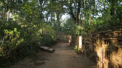 Travelling on a path in a village in the middle of the forest, in Ethiopia Stock Footage 200221744
