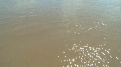 Travelling on a river 2 Stock Footage 3461294