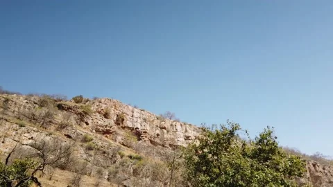 Travelling Shot of Cliffs Through Trees at Ranthambore National Park, Stock Footage 141626944