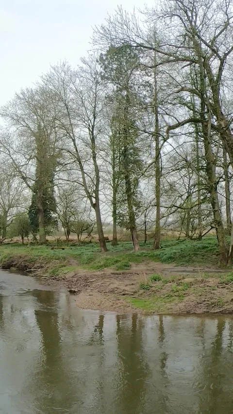 Travelling shot of Geul river between bare trees at Ingendael nature reserve Stock Footage 282536382