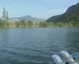 Travelling shot of river and coast SD Footage