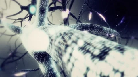Travelling through a neuron cell network inside human brain. Stock Footage 68055602
