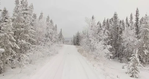 Travelling through a snowy winter trail in Northern Canada Stock Footage