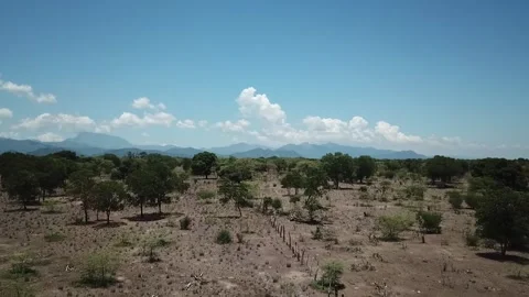 Travelling on top of plain Stock-Footage 130479443